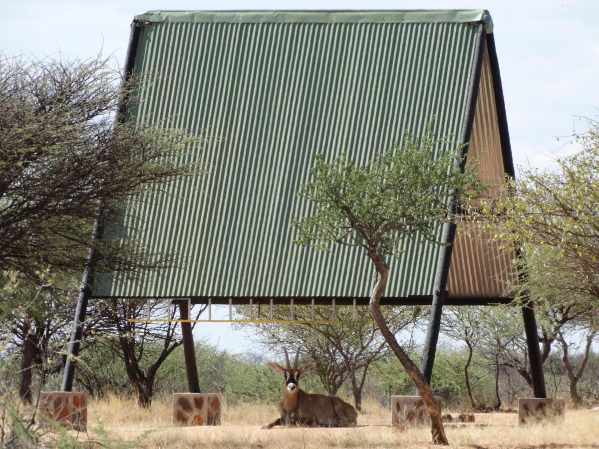 Ovita Wildlife Restcamp Okazize 외부 사진